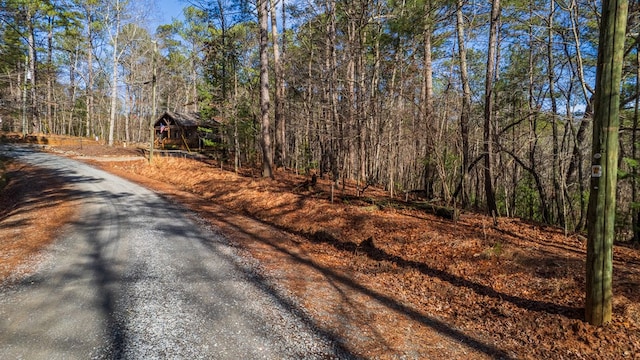 Listing photo 3 for 227 Haven Ct, Ellijay GA 30540