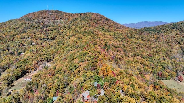 property view of mountains