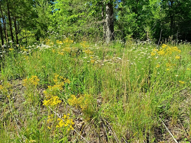 11 Cabin Run Ln, Murphy, NC 28906