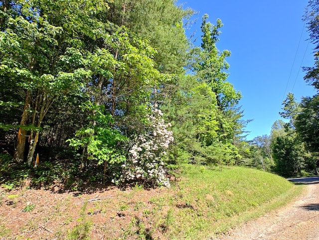 11 Cabin Run Ln, Murphy, NC 28906