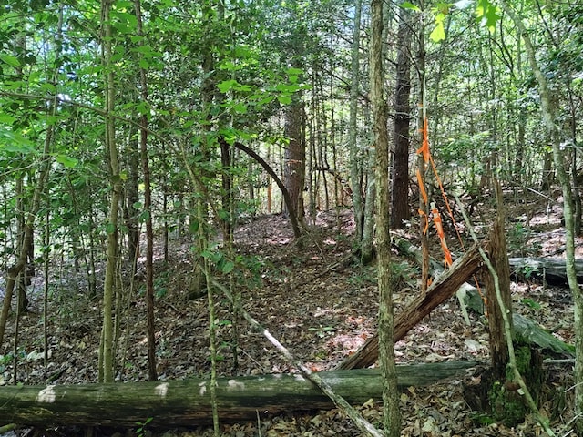 11 Cabin Run Ln, Murphy, NC 28906