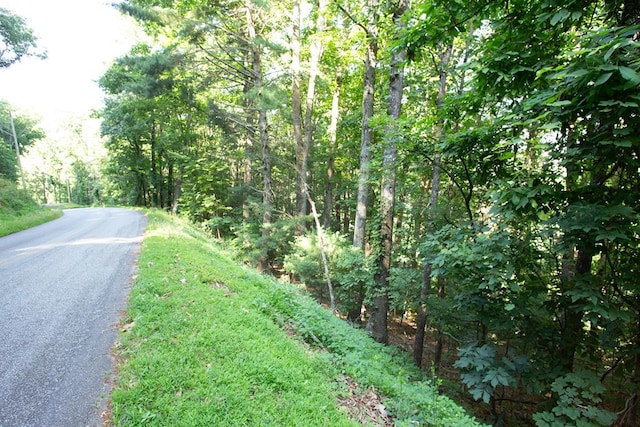 LOT47 Mountain Top Rd, Blairsville GA, 30512 land for sale