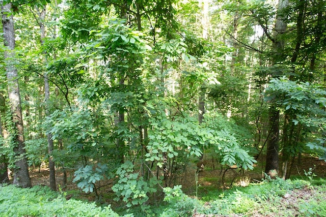 Listing photo 3 for LOT47 Mountain Top Rd, Blairsville GA 30512