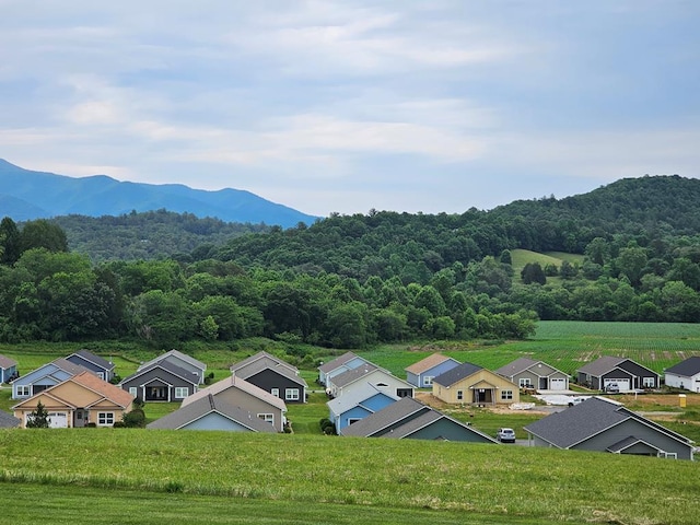 birds eye view of property featuring a mountain view