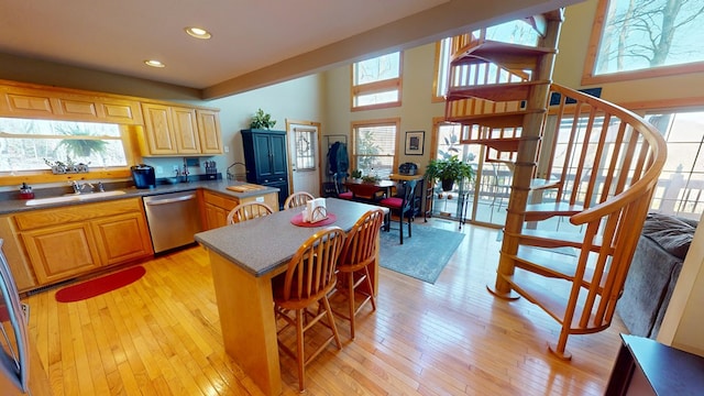 kitchen featuring stainless steel dishwasher, light wood finished floors, and plenty of natural light