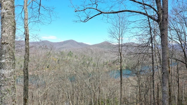 property view of mountains featuring a view of trees