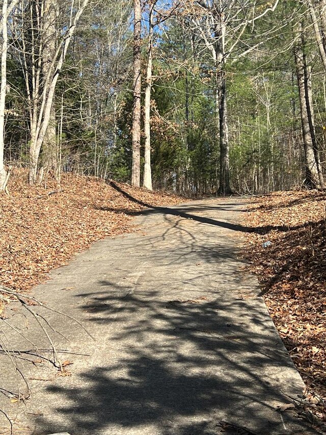 view of road