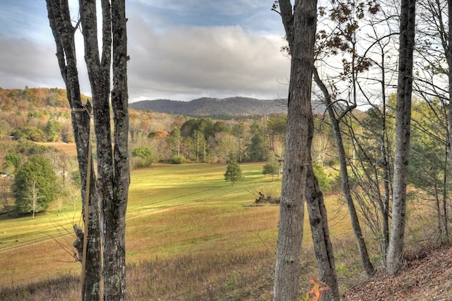 view of mountain feature