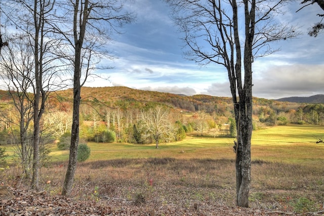 view of mountain feature