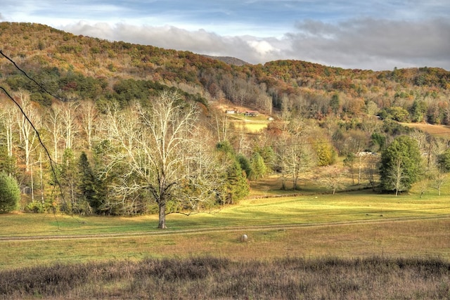 view of mountain feature