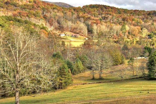 property view of mountains with a water view and a rural view