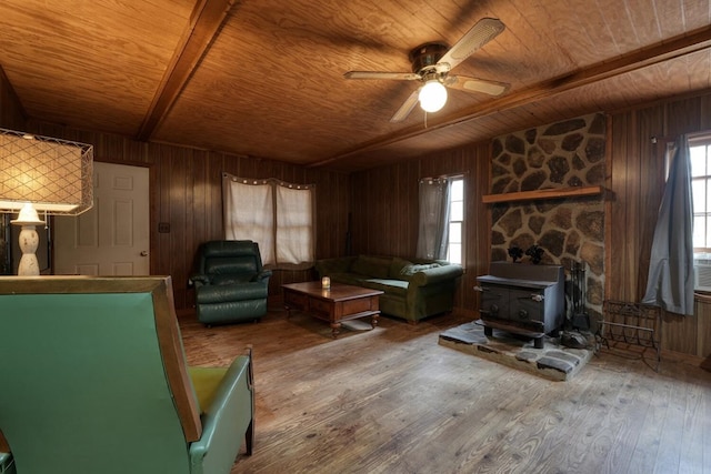 interior space featuring hardwood / wood-style floors, a wealth of natural light, wood ceiling, and a wood stove