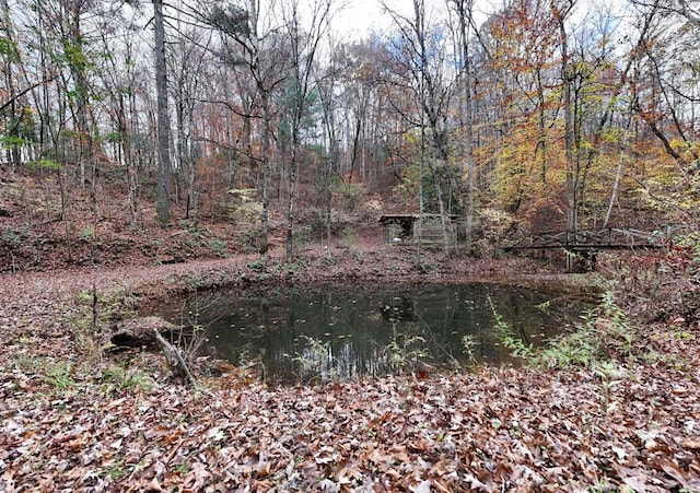 view of nature with a water view