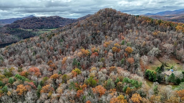 view of mountain feature