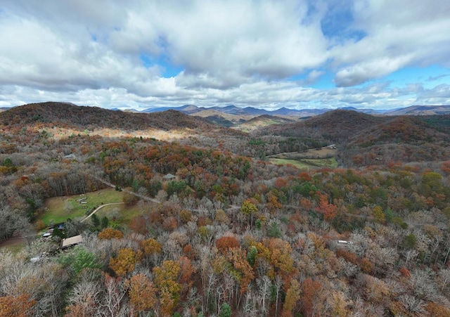 property view of mountains