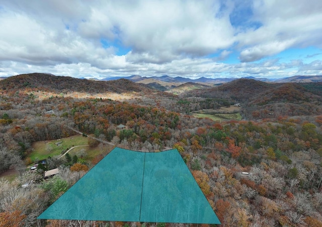 property view of mountains