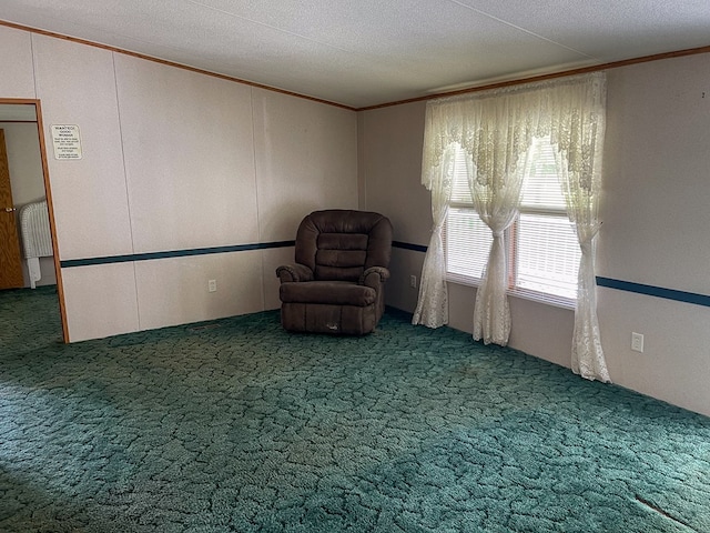 1716 Airport Rd, Marble, NC 28905 - unfurnished room featuring carpet flooring, a textured ceiling, and ornamental molding