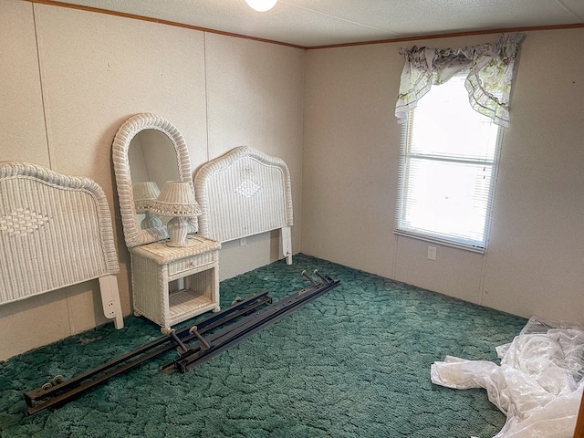 1716 Airport Rd, Marble, NC 28905 - bedroom featuring carpet and ornamental molding