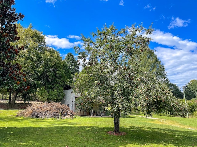 1716 Airport Rd, Marble, NC 28905 - view of yard