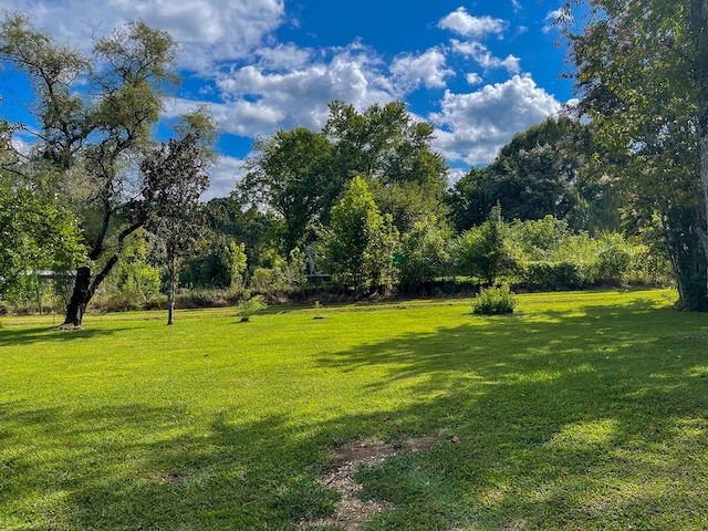 1716 Airport Rd, Marble, NC 28905 - view of yard