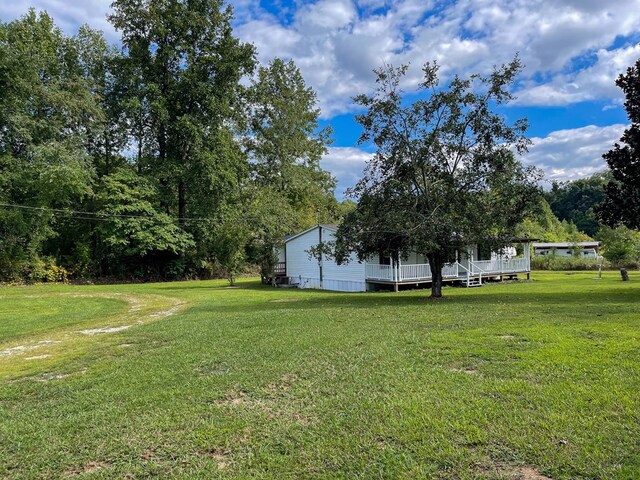 1716 Airport Rd, Marble, NC 28905 - view of yard