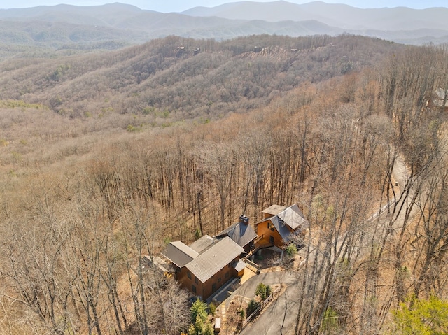 aerial view with a mountain view