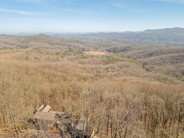 property view of mountains