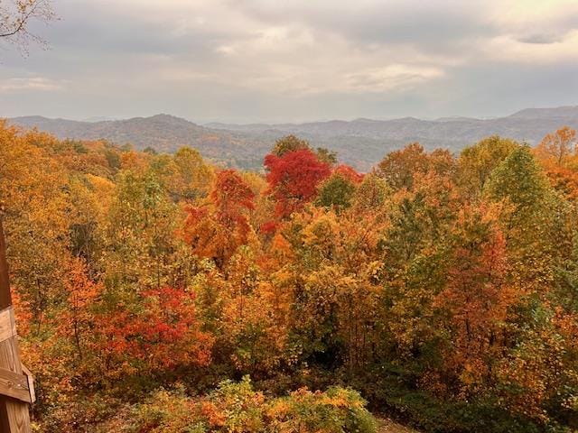 view of mountain feature