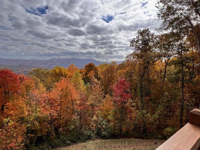 property view of mountains