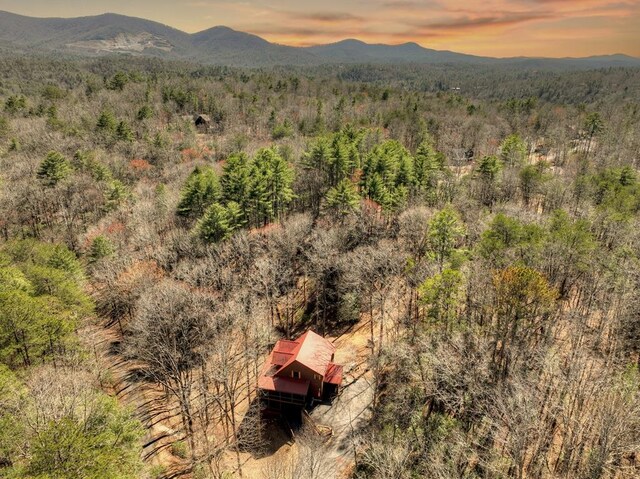 30 Okemah Ct, Ellijay, GA 30540 - view of mountain backdrop with a heavily wooded area