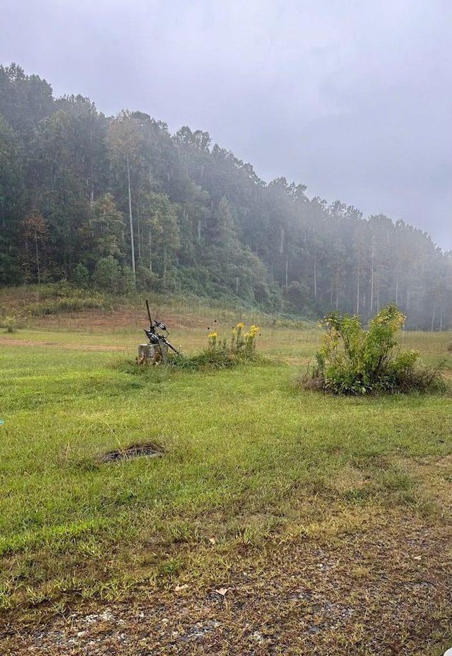 view of mountain feature