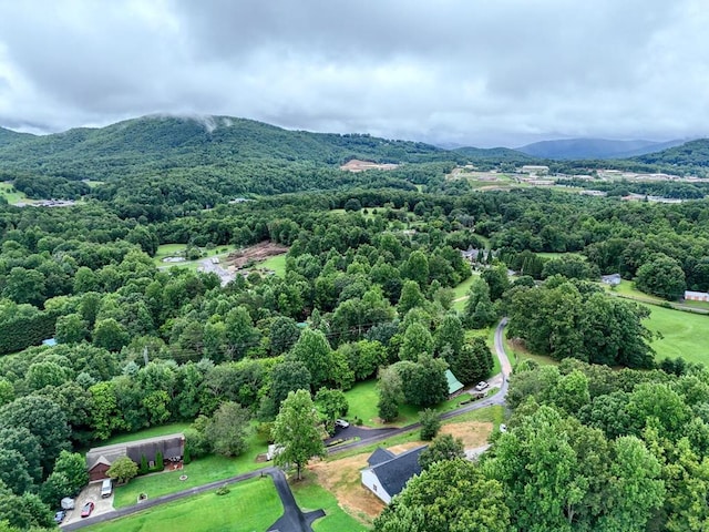 drone / aerial view with a mountain view