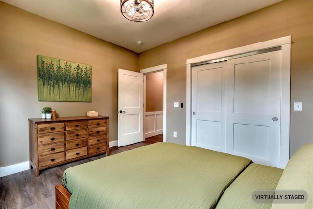 bedroom featuring dark hardwood / wood-style floors and a closet