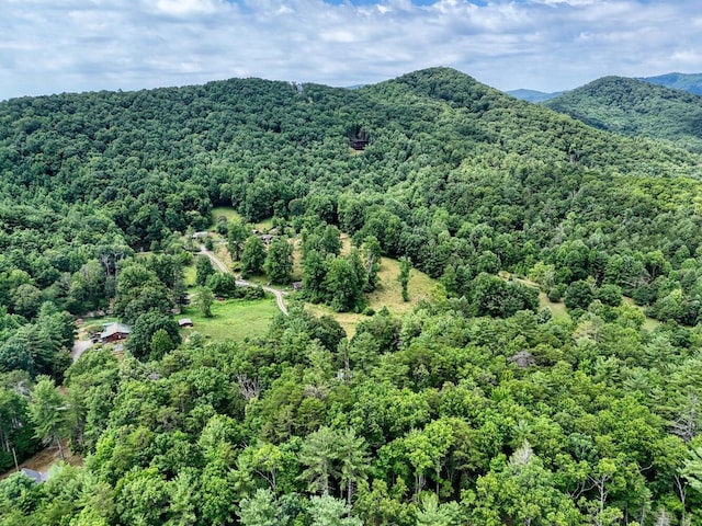 view of mountain feature