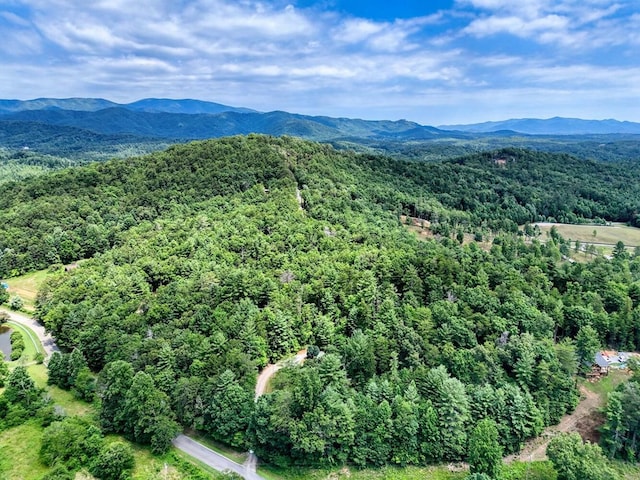 bird's eye view featuring a mountain view