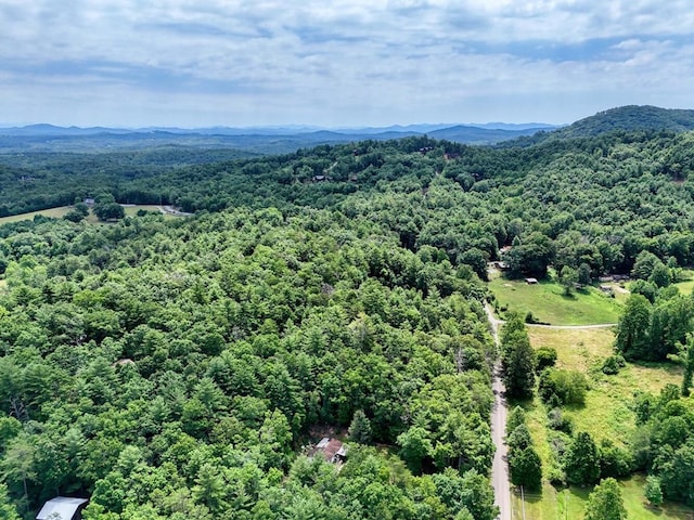 drone / aerial view featuring a mountain view