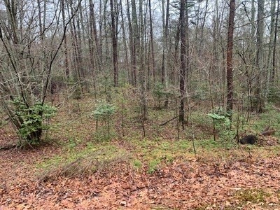 Listing photo 3 for LOT37 Ridge Rd, Blairsville GA 30512