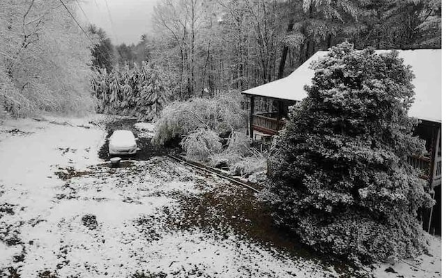 view of yard covered in snow