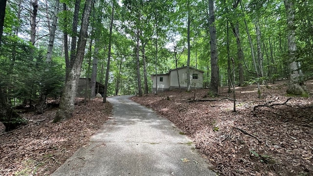 143 Sorghum Mill Run, Blairsville, GA 30512 - view of yard featuring concrete driveway and a wooded view