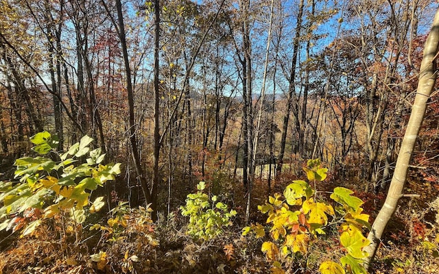 40M Mountain Harbour Dr, Hayesville, NC 28904