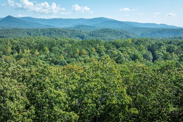 view of mountain feature