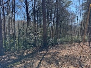 Listing photo 2 for 108 Laurel Ridge Rd, Blairsville GA 30512