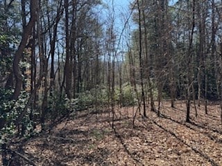 Listing photo 3 for 108 Laurel Ridge Rd, Blairsville GA 30512