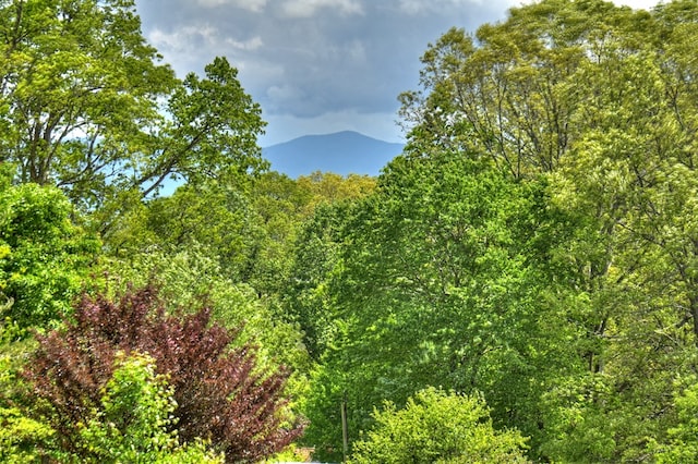 mountain view featuring a forest view
