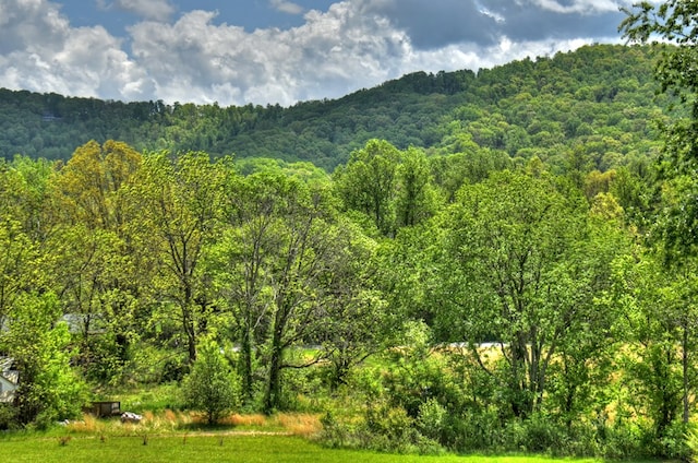 mountain view featuring a wooded view