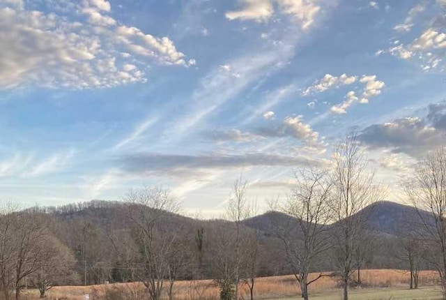 198 Ivy Knob Ln, Hayesville, NC 28904 - view of mountain background