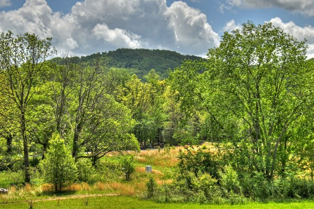 property view of mountains with a forest view