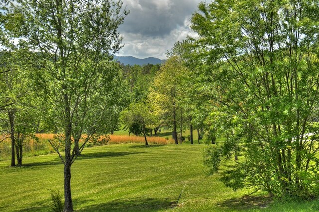 surrounding community with a yard and a view of trees