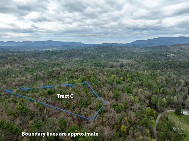 TRACTC Harpers Creek Rd, Ellijay, GA 30540