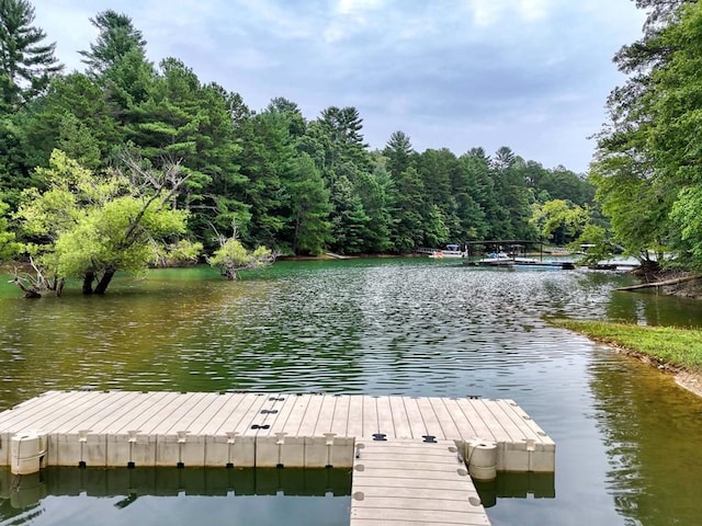 view of dock with a water view